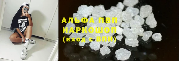 трава Новодвинск