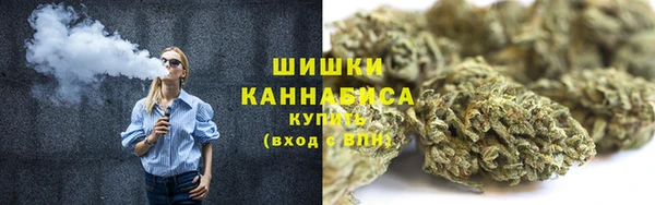 трава Новодвинск