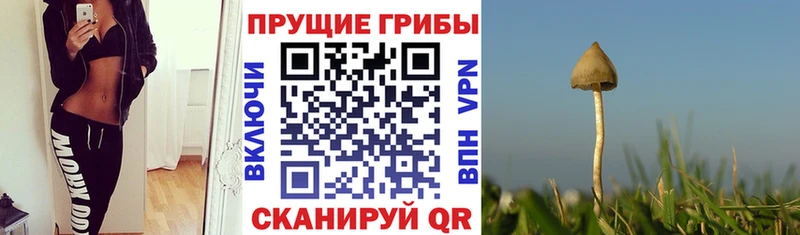 Псилоцибиновые грибы Magic Shrooms Лакинск