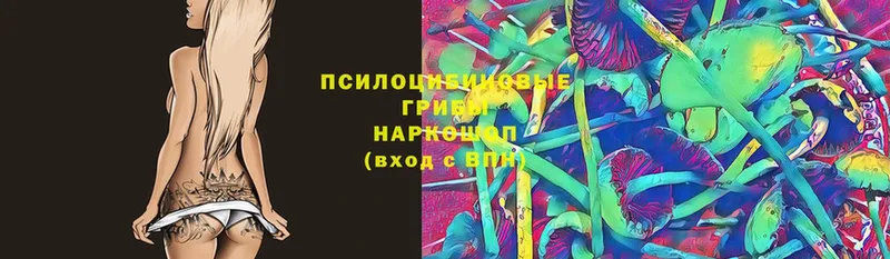 Галлюциногенные грибы MAGIC MUSHROOMS  Лакинск 